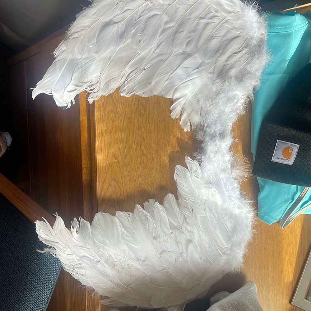 Angel Wings